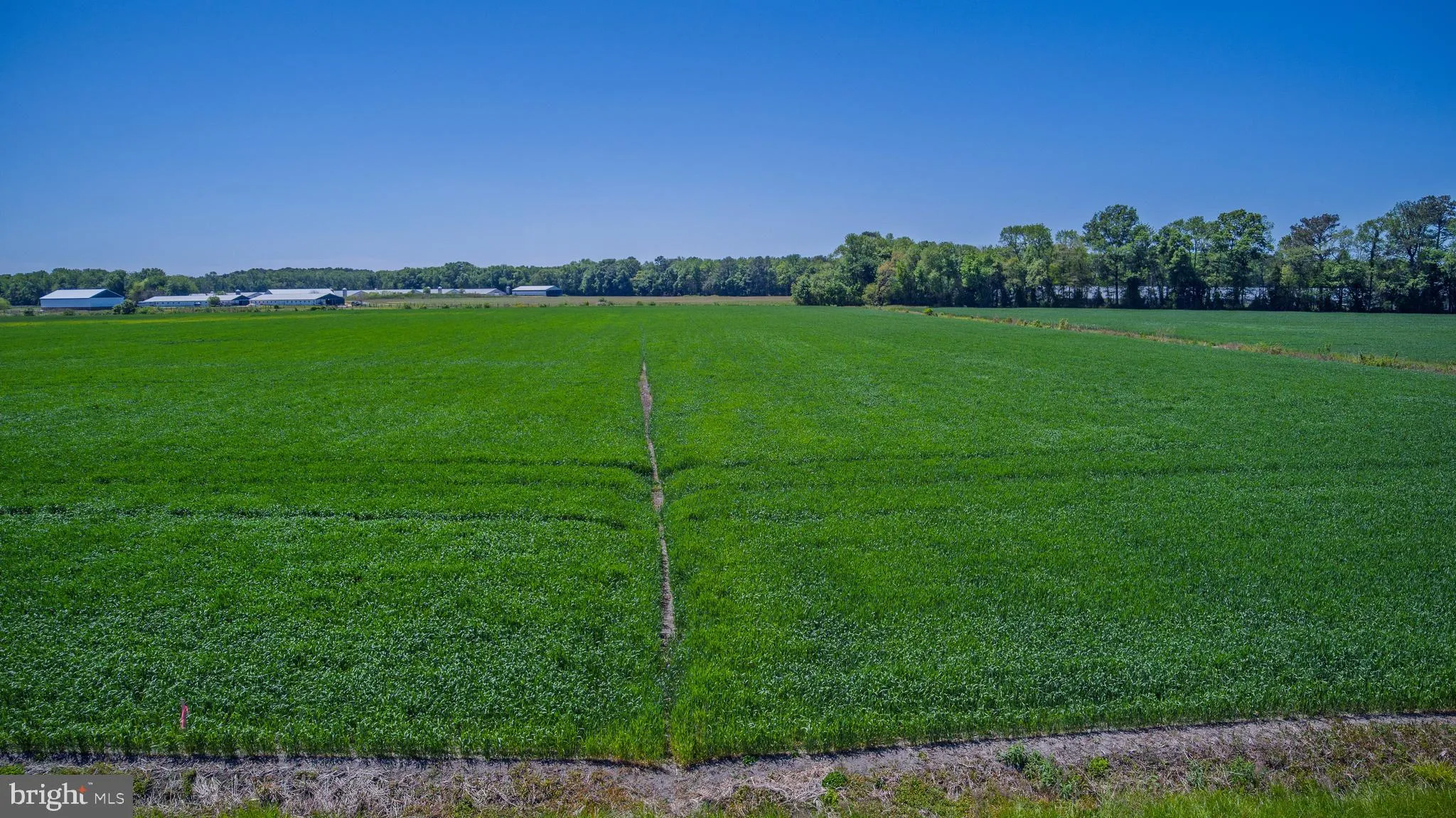 Additional image 62 of LotS 10 TO 18 Tower Road, Camden Wyoming, DE 19934