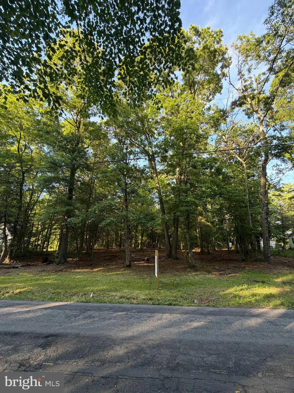 Additional image 10 of Mahan Corner Road, Marydel, DE 19964