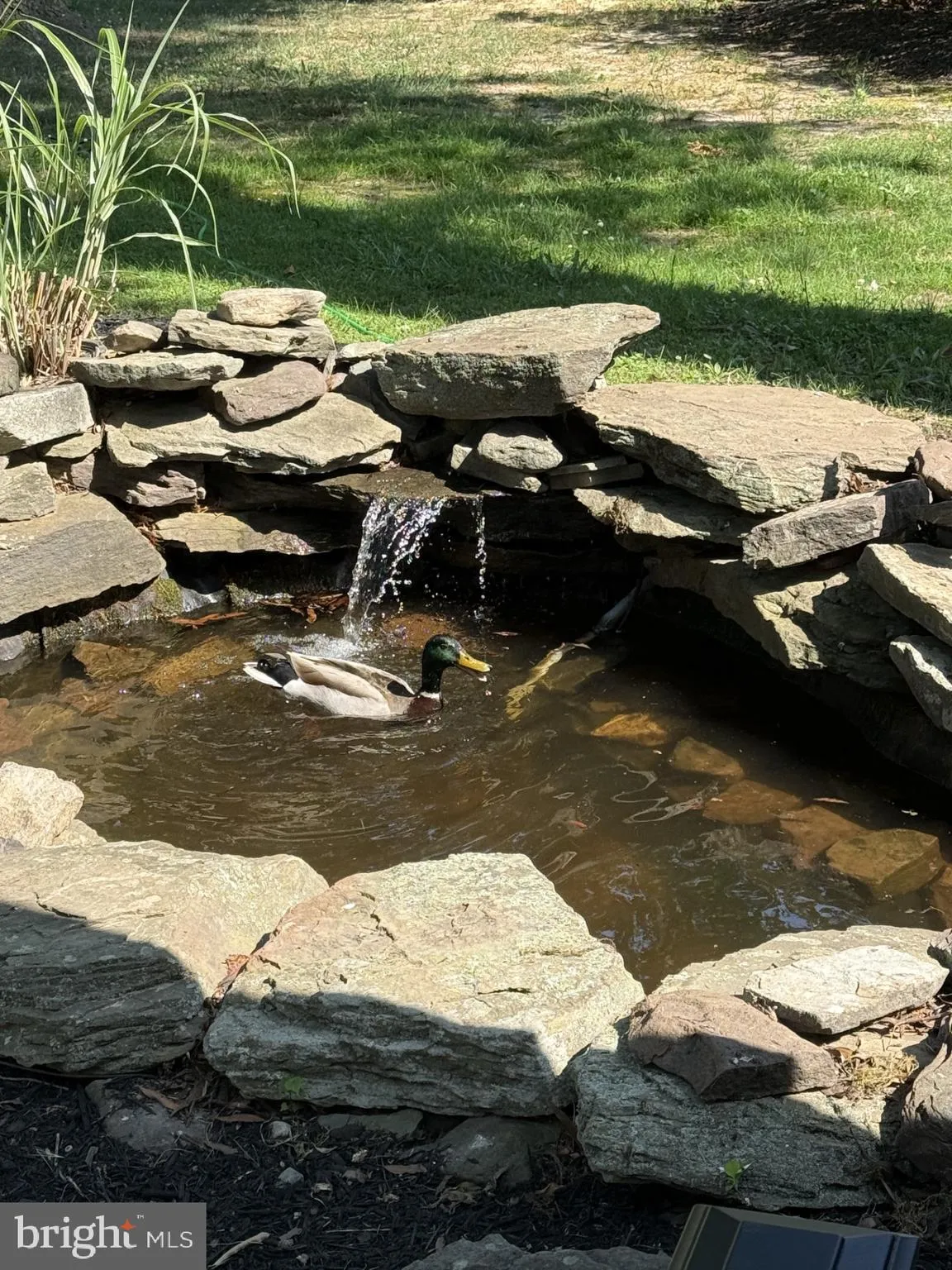 Additional image 95 of 702 Bayside Drive, Stevensville, MD 21666