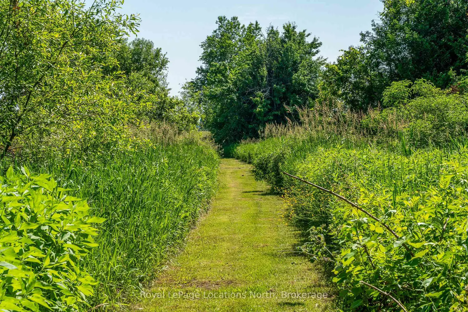 Additional image 8 of 138237 Grey Road 112 Road