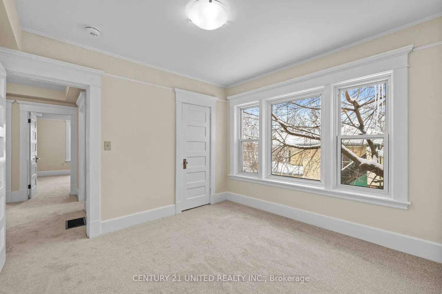 Additional image 7 of 375 Downie Street