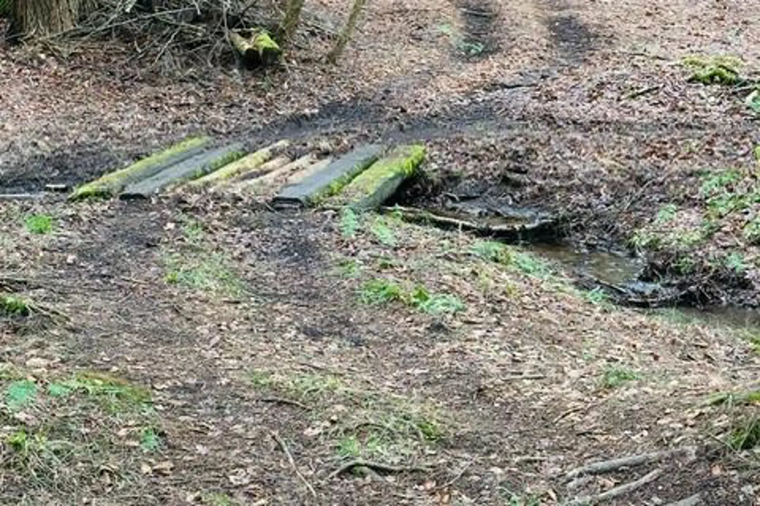 Additional image 20 of 1297 Hunter Creek Road