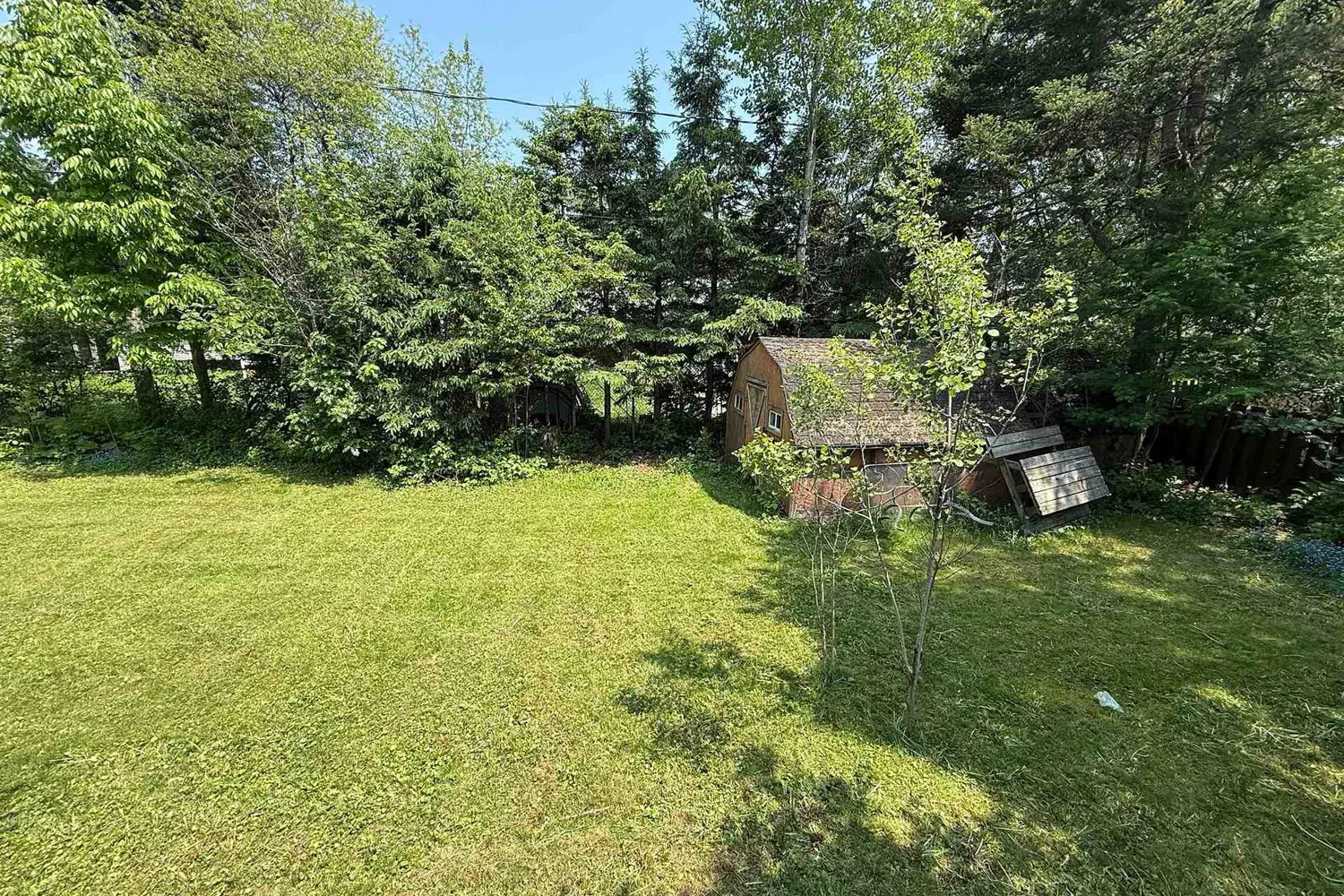 Additional image 14 of 45 Larch Street
