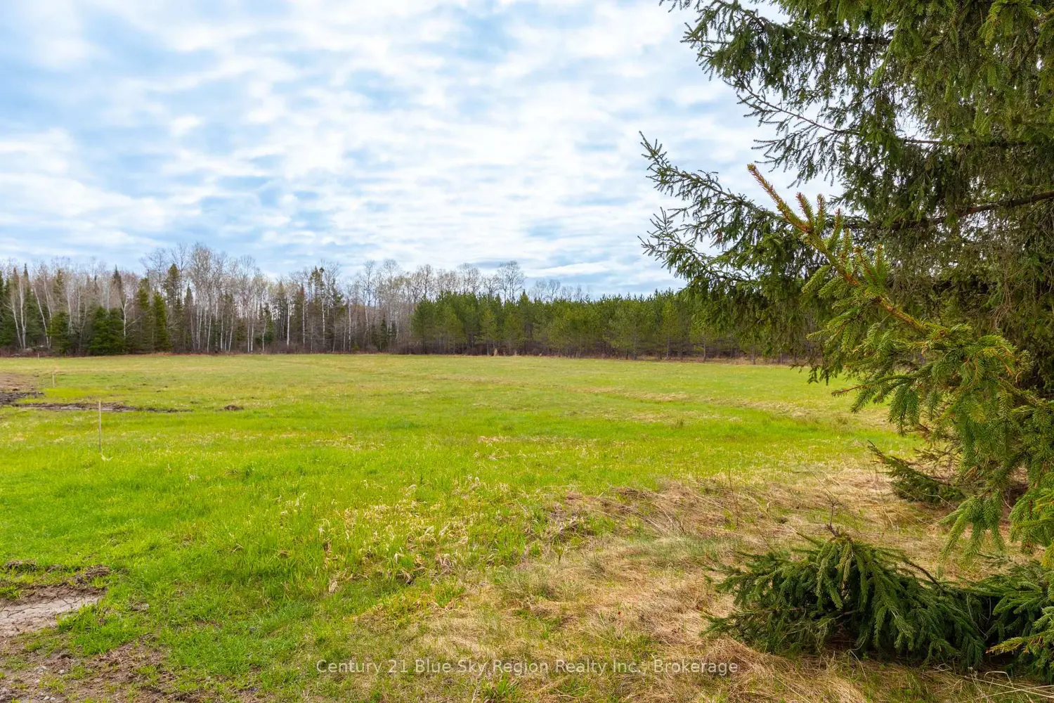 Additional image 4 of Lot 2 Centennial