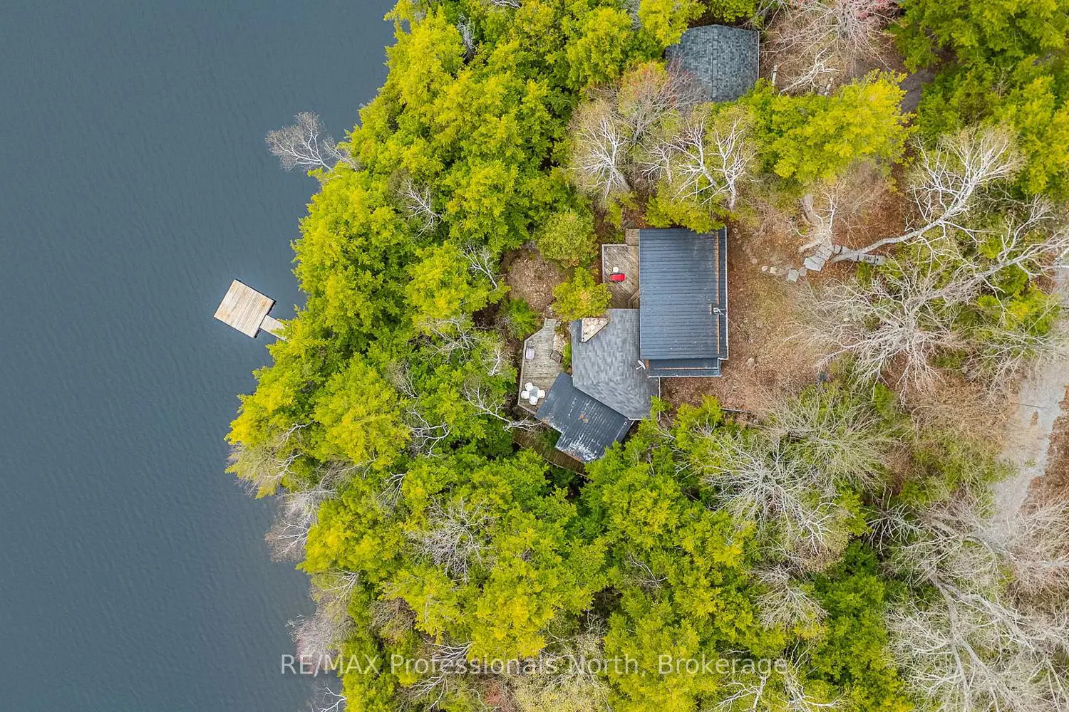 1201 Trellis Trail