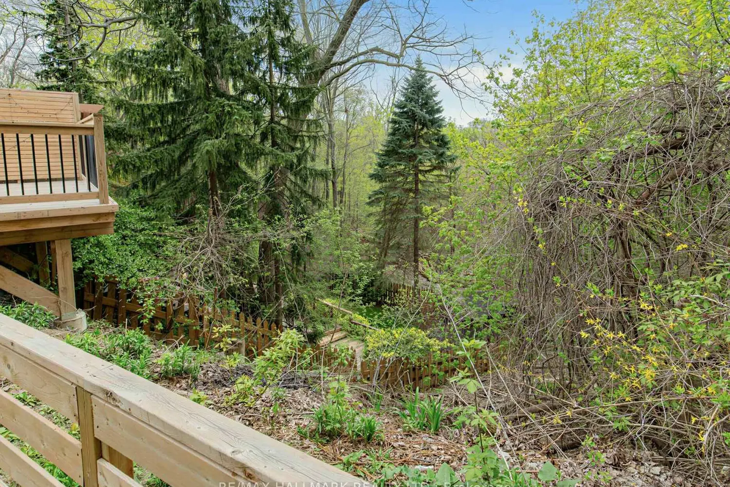 Additional image 16 of 1 Ferncliff Court