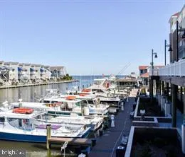 Additional image 105 of 4111 Pinewood Terrace, Chesapeake Beach, MD 20732