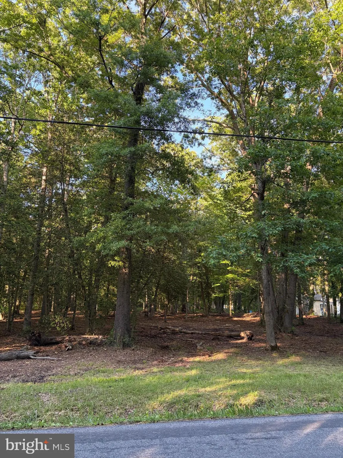 Additional image 12 of Mahan Corner Road, Marydel, DE 19964