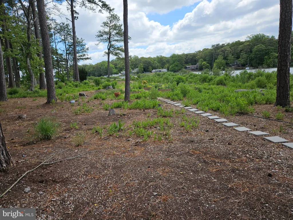 Additional image 16 of 15 Pinewater Drive, Harbeson, DE 19951