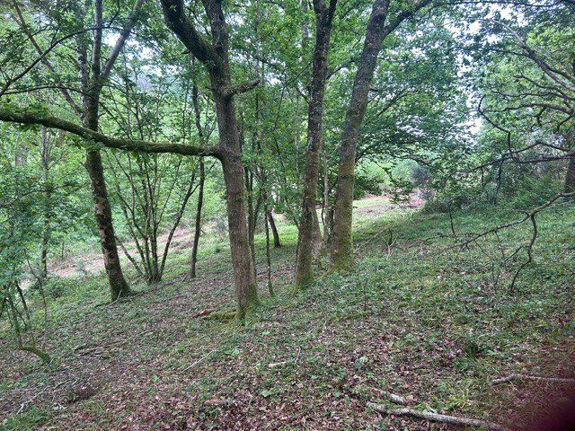 Additional image 6 of Land for saleLower Knappa - 10.35 Acres, Corymbia, Bickington, Newton Abbot TQ12