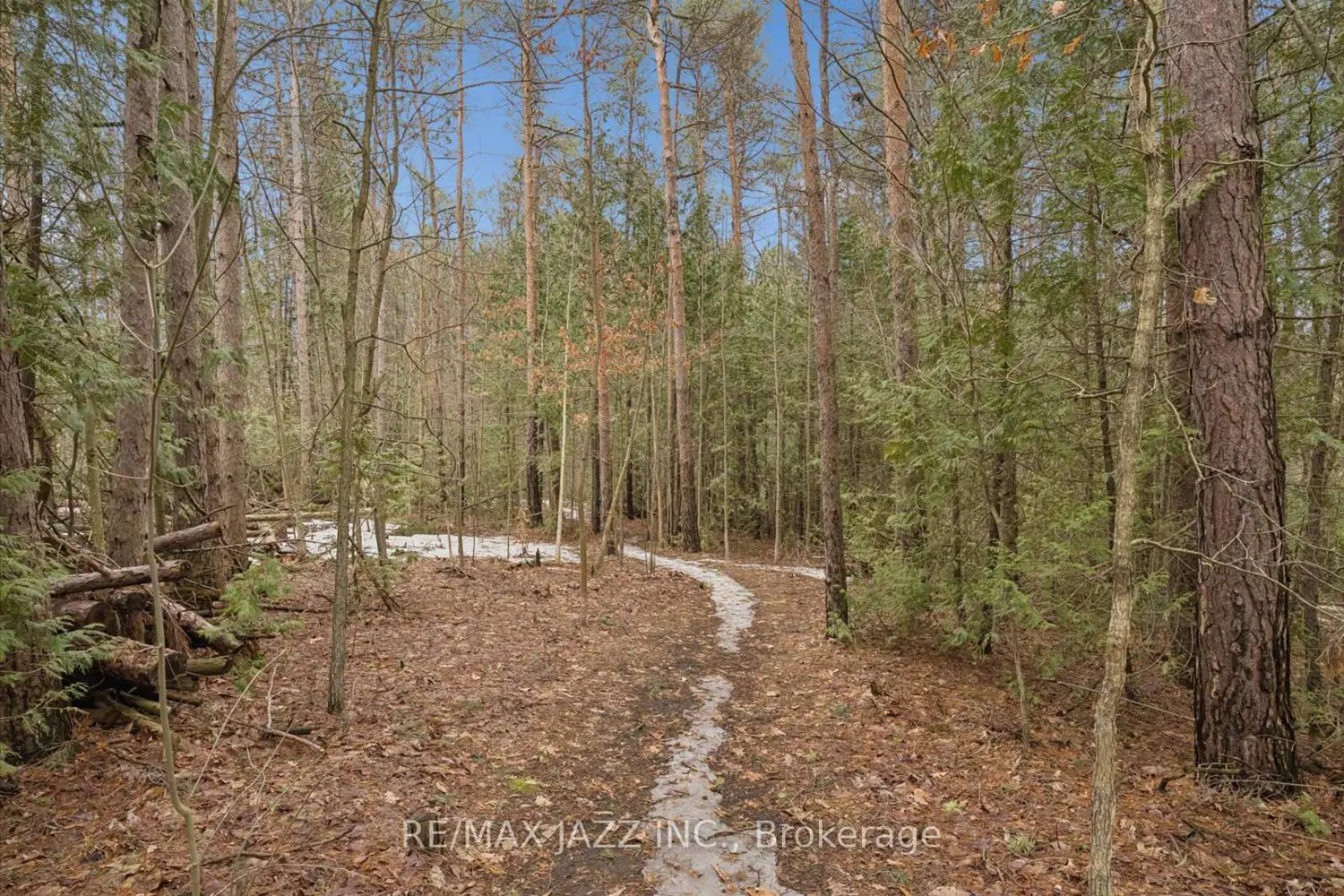 Additional image 17 of 149 Whites Road