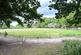 Additional image 4 of Hale, Fordingbridge, Hampshire, SP6