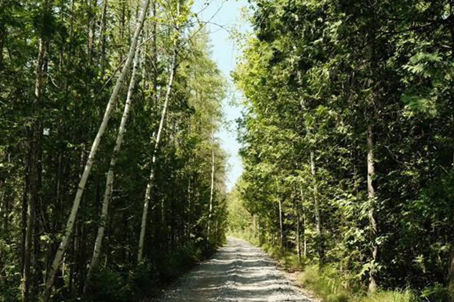 Additional image 19 of 192 Crookston Road