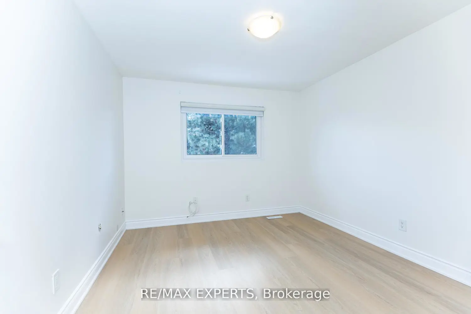 Additional image 9 of 31 Carleton Place