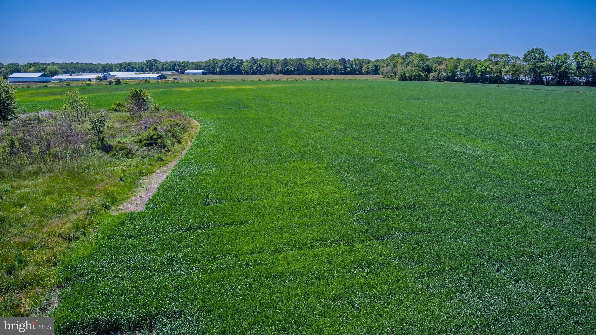 Additional image 30 of Lot#10 Tower Road, Camden Wyoming, DE 19934