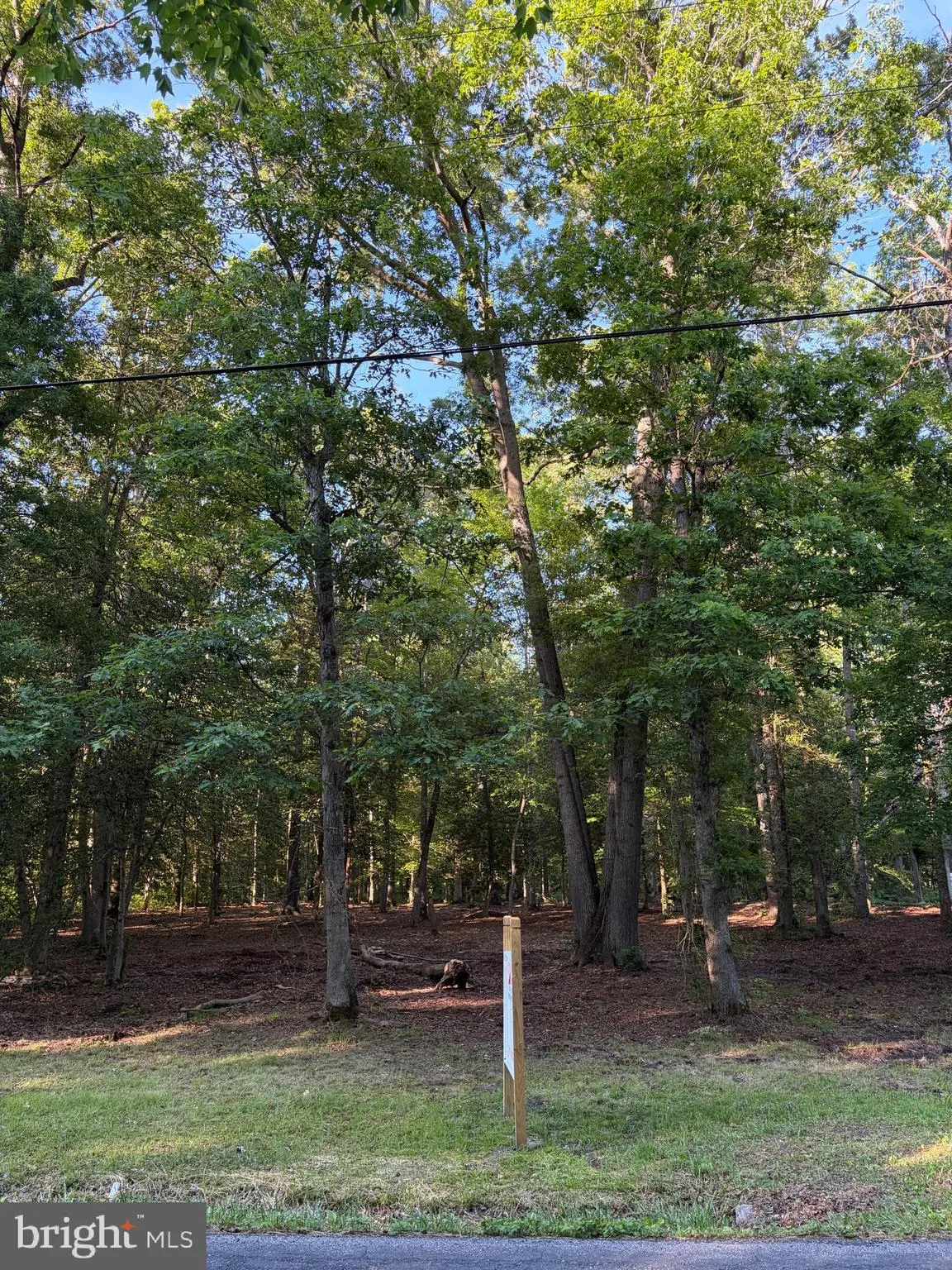 Additional image 11 of Mahan Corner Road, Marydel, DE 19964