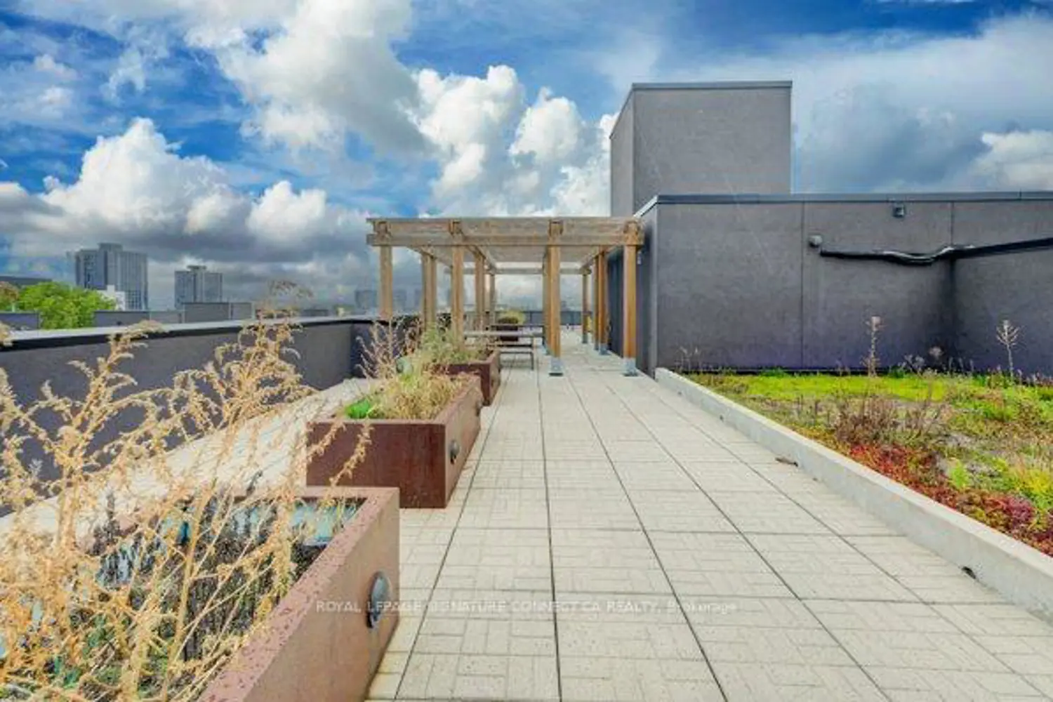 Additional image 19 of 250 Albert Street 208