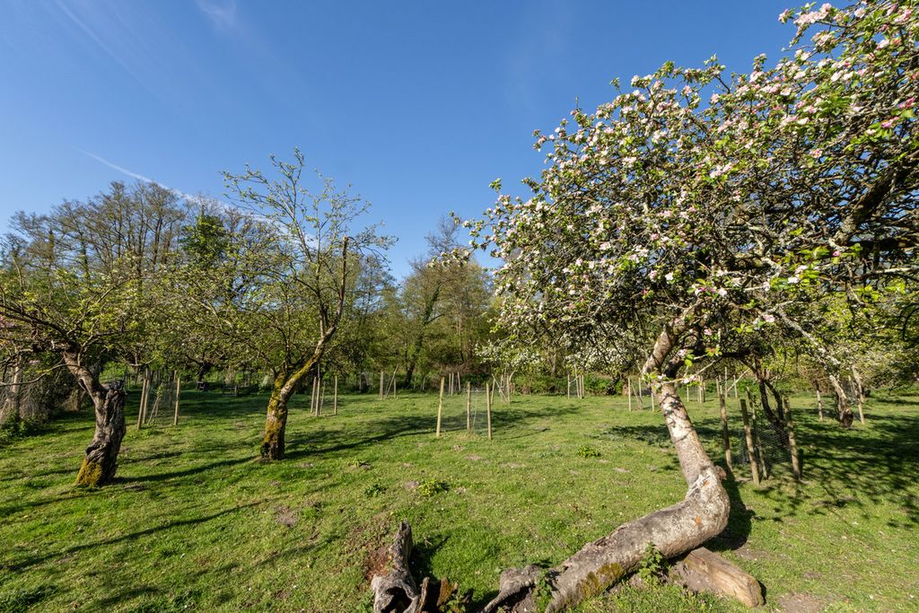 Additional image 47 of 7 bed country house for saleHyde, Dorset BH20