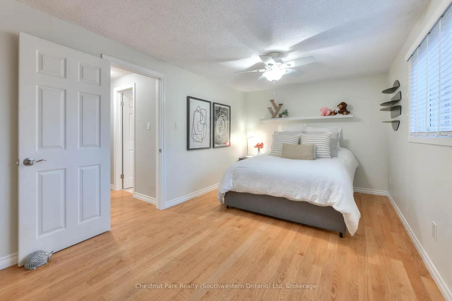 383 Edinburgh Road 30 photo 5