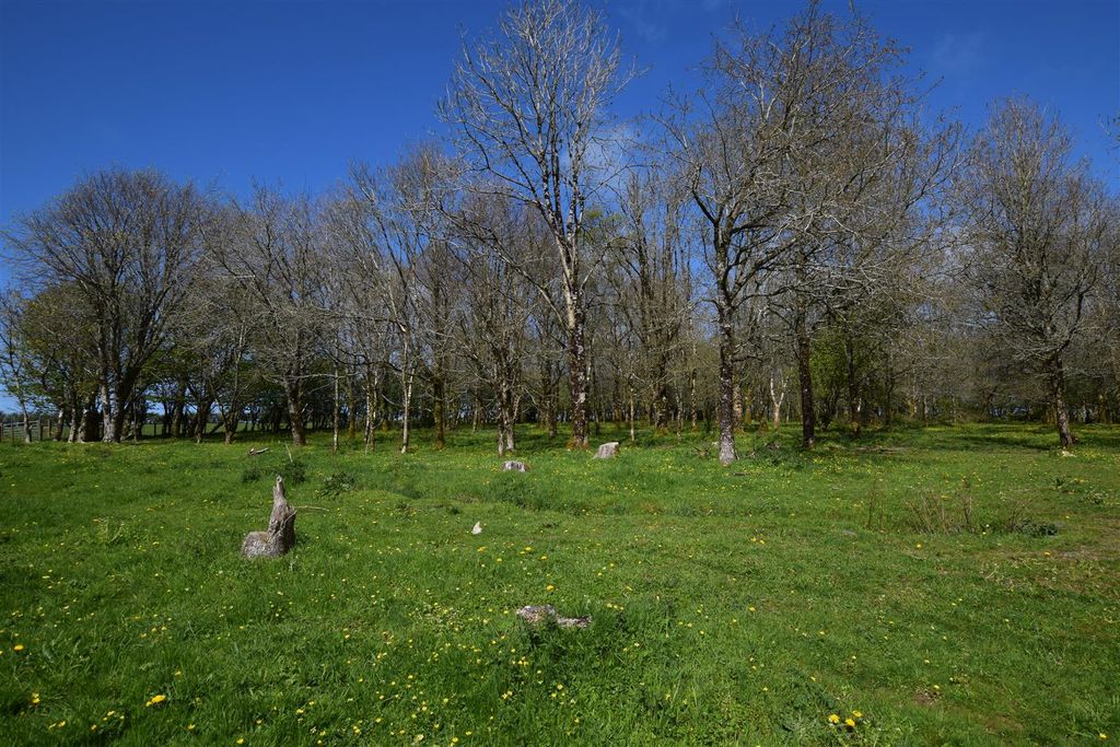 Additional image 12 of Land for saleGlanrhyd, Cardigan SA43