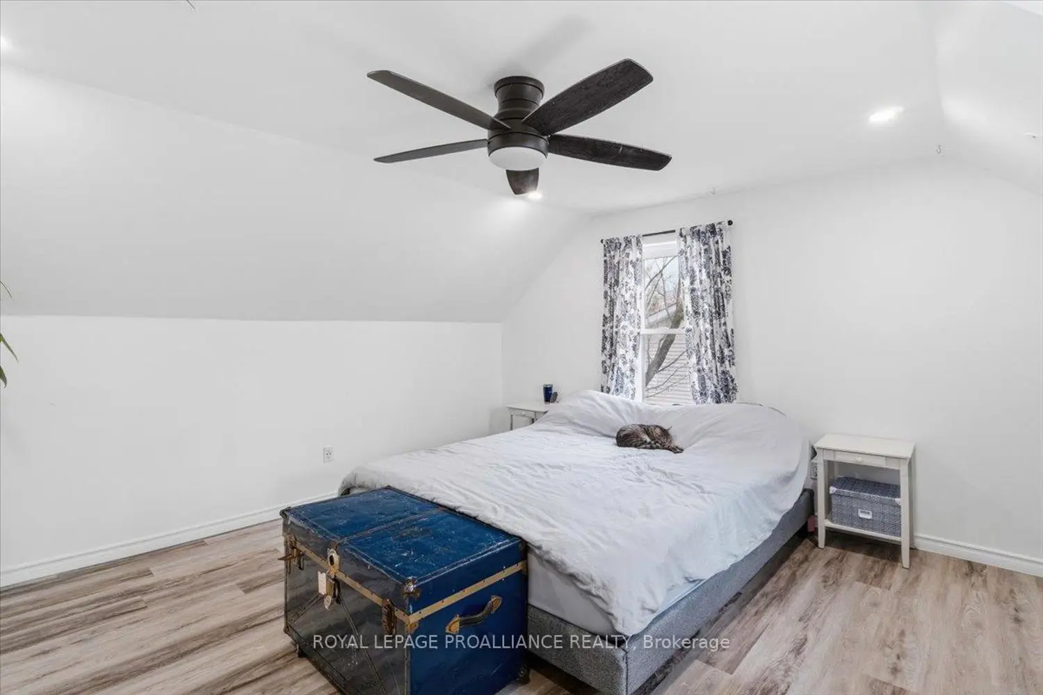 Additional image 17 of 61 Madoc Street
