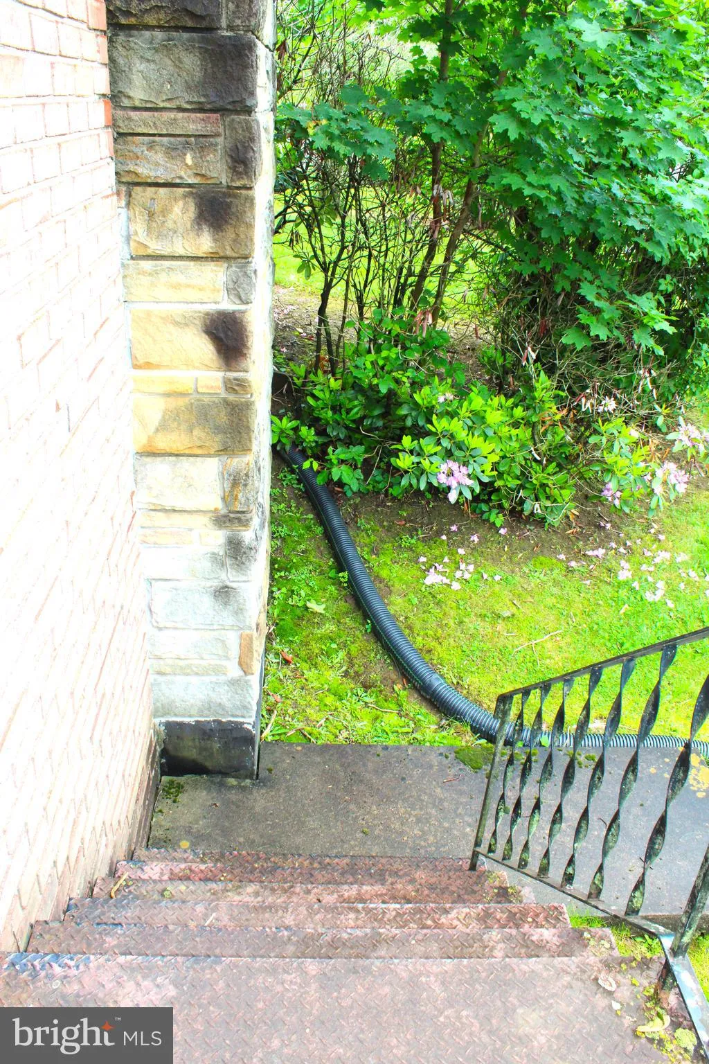 Additional image 166 of 14804 Bell Street, Cresaptown, MD 21502