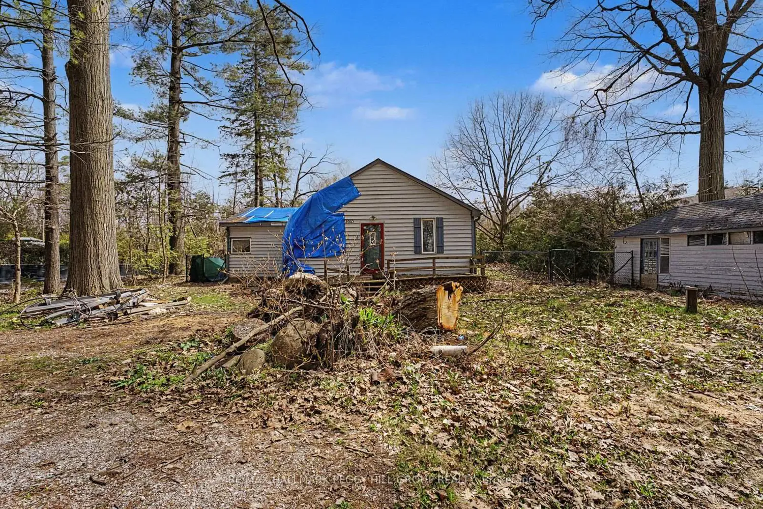 Additional image 9 of 3910 Alcina Avenue