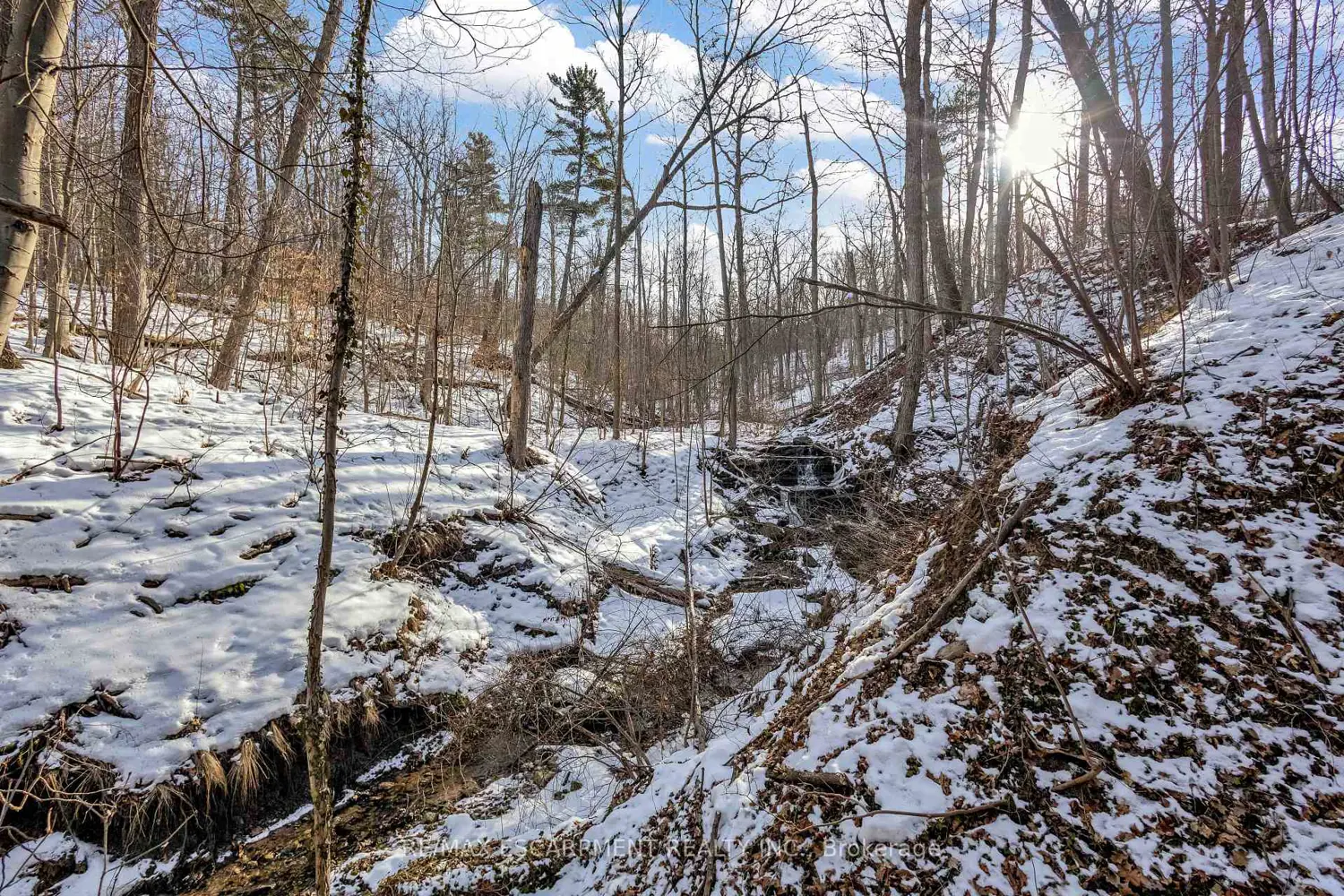 Additional image 15 of 59 Park Road