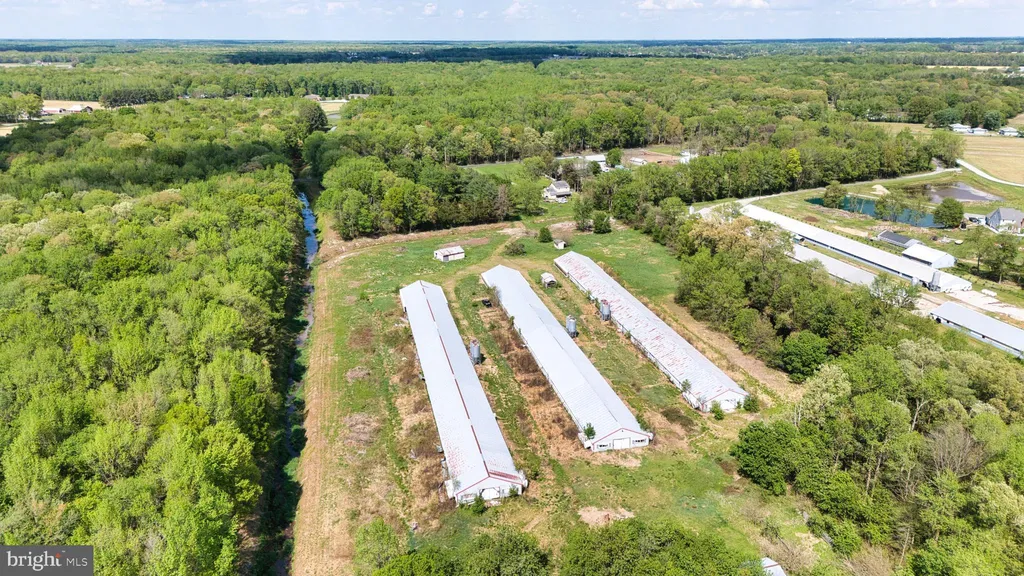Additional image 46 of 324 Jebb Road, Camden Wyoming, DE 19934