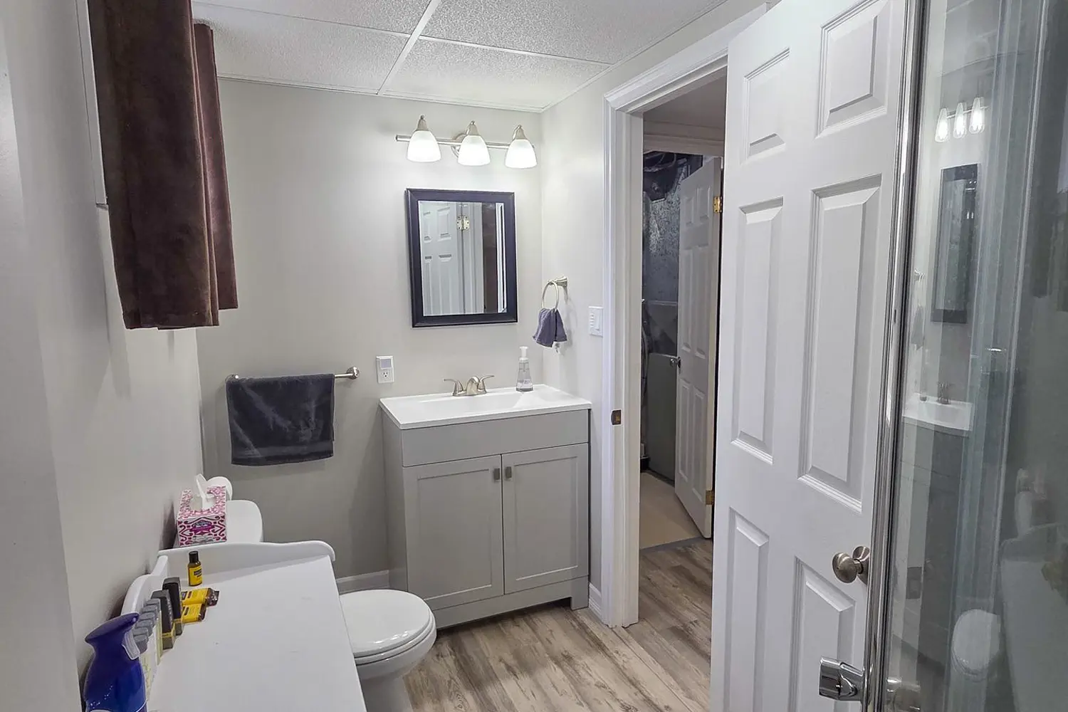 Additional image 11 of 254 Laurette Street