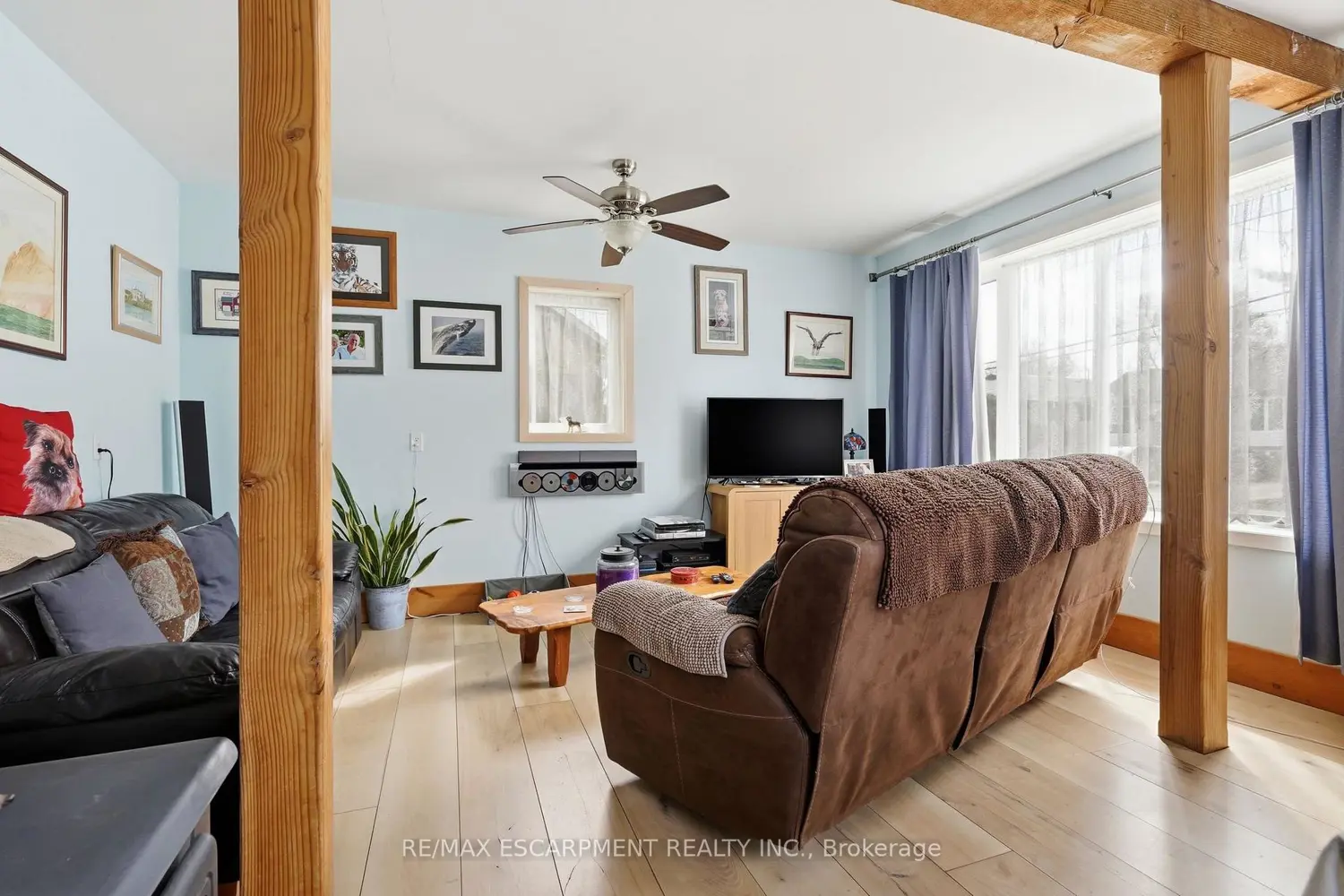 Additional image 5 of 181 Dill Street