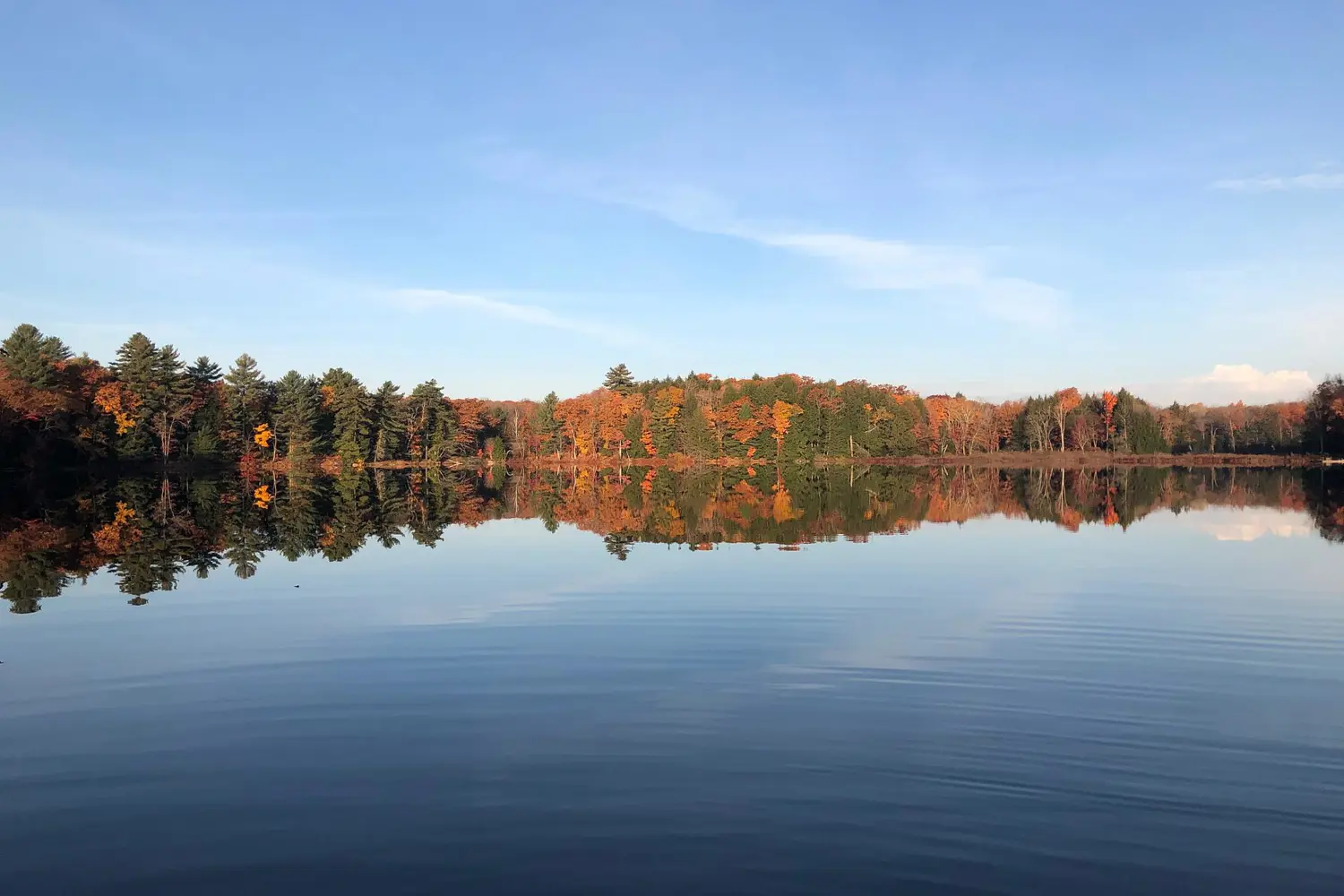 Additional image 10 of 8091 Lake Joseph Road 6