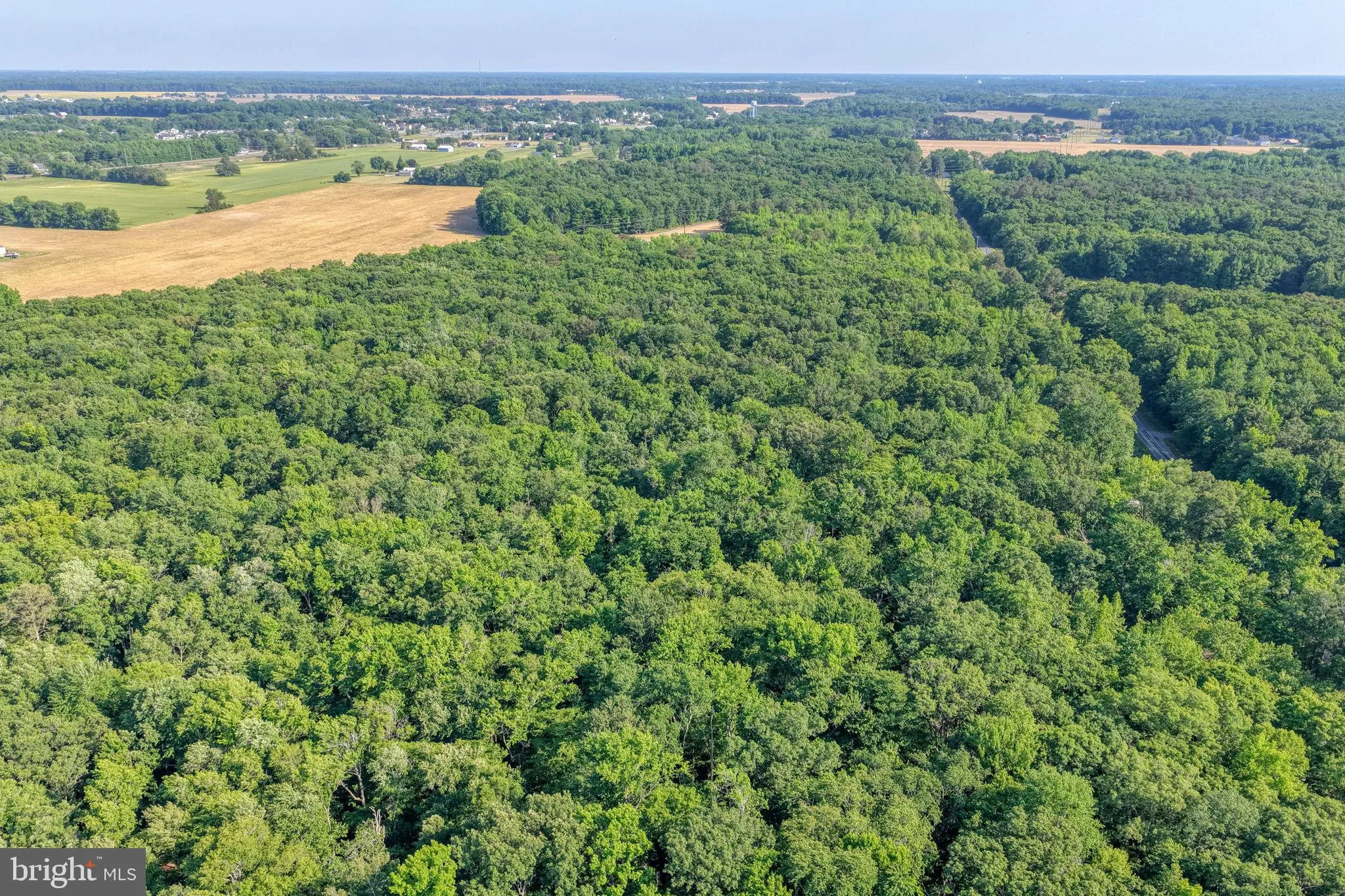 Additional image 29 of Tomahawk Lane, Felton, DE 19943