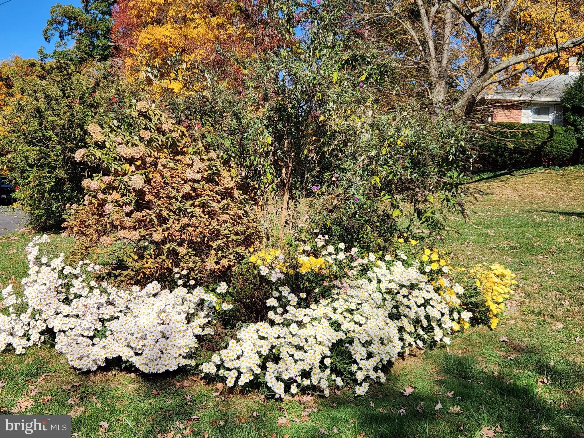 Additional image 86 of 2911 Nelson Lane, Fallston, MD 21047