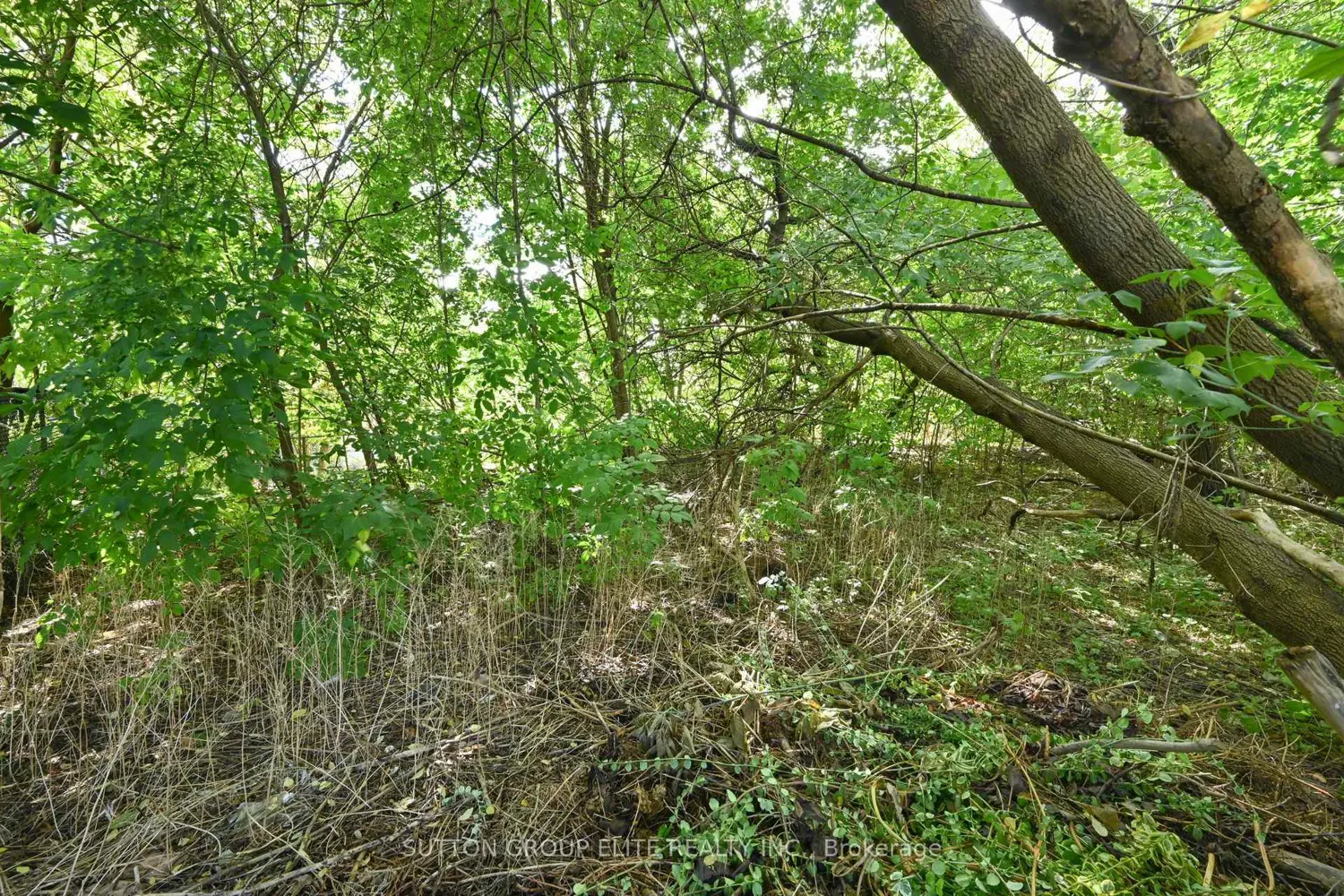 Additional image 4 of 1238 Claredale Road