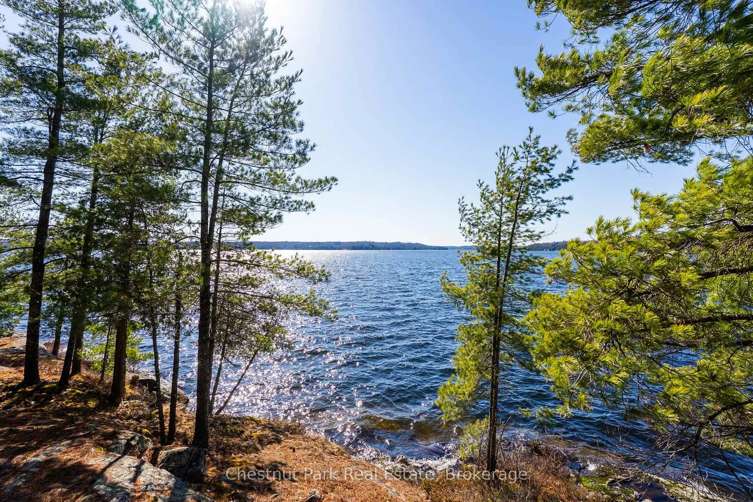 Additional image 4 of 1226 Rosseau Lake Road 3 Road
