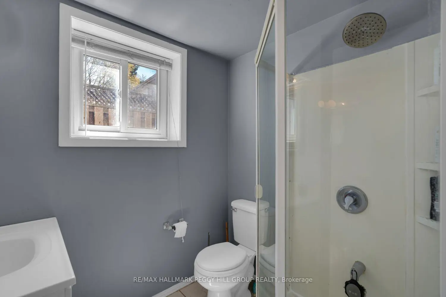 Additional image 10 of 423 Mary Street