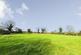 Additional image 2 of Saltmarshe, East Yorkshire DN14