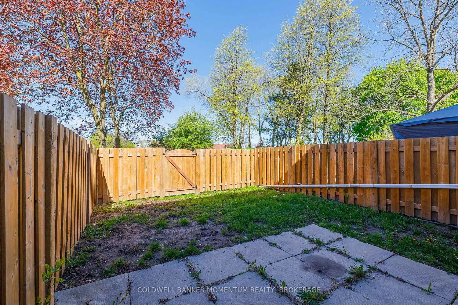 Additional image 19 of 185 Denistoun Street 42