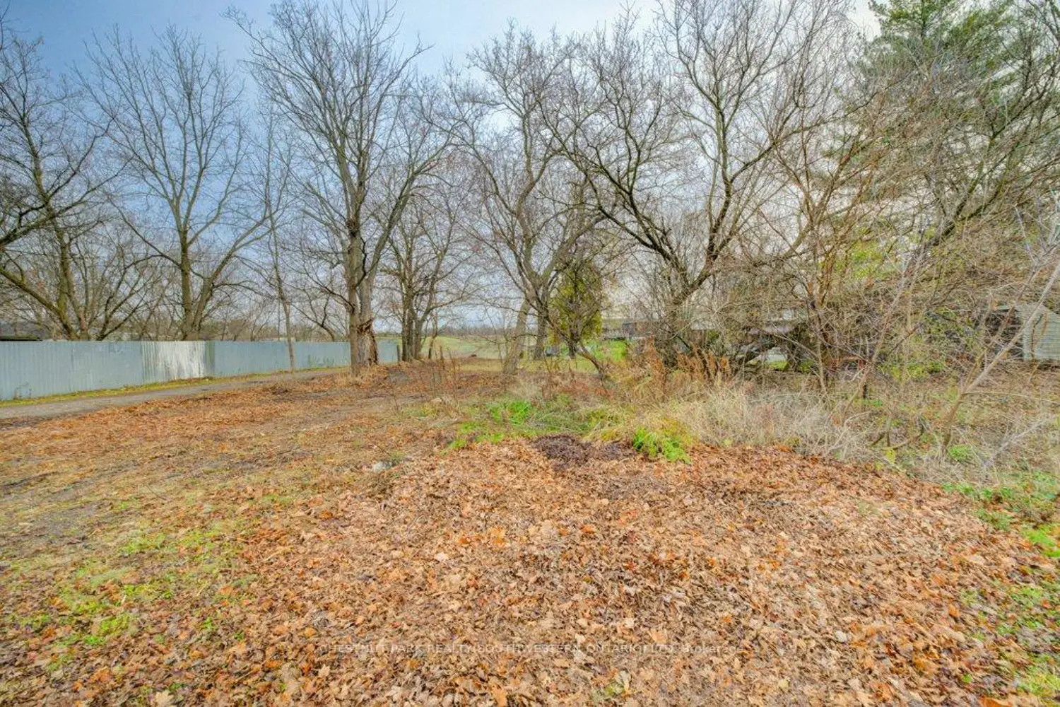 Additional image 17 of 99 Woolwich Street