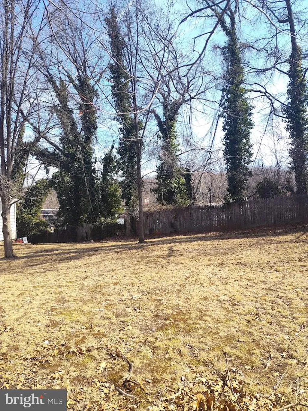 Additional image 44 of 7300 Martin Luther King Jr Highway, Hyattsville, MD 20785