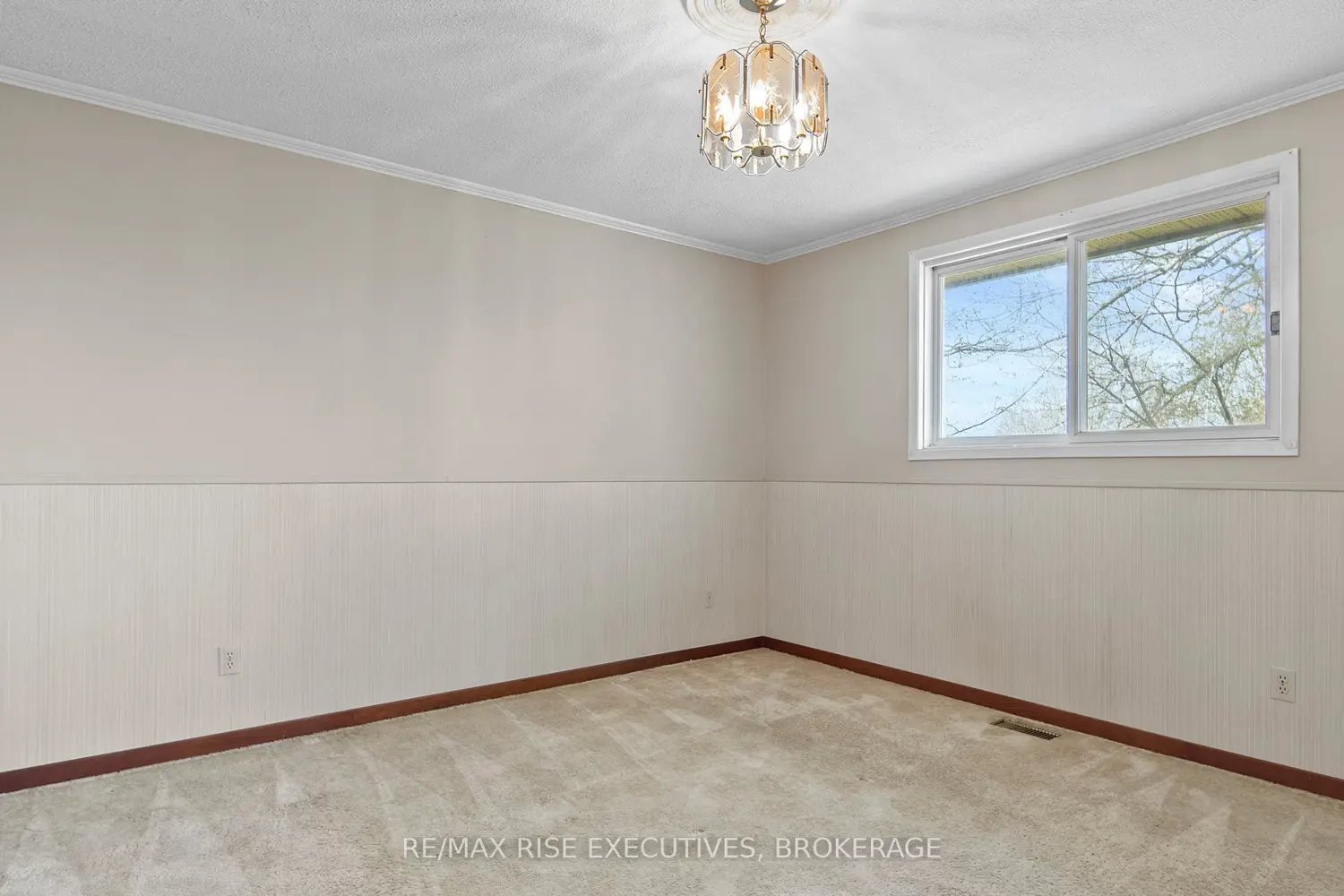Additional image 13 of 899 Safari Drive