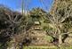 Additional image 16 of Blackberry Way, Truro