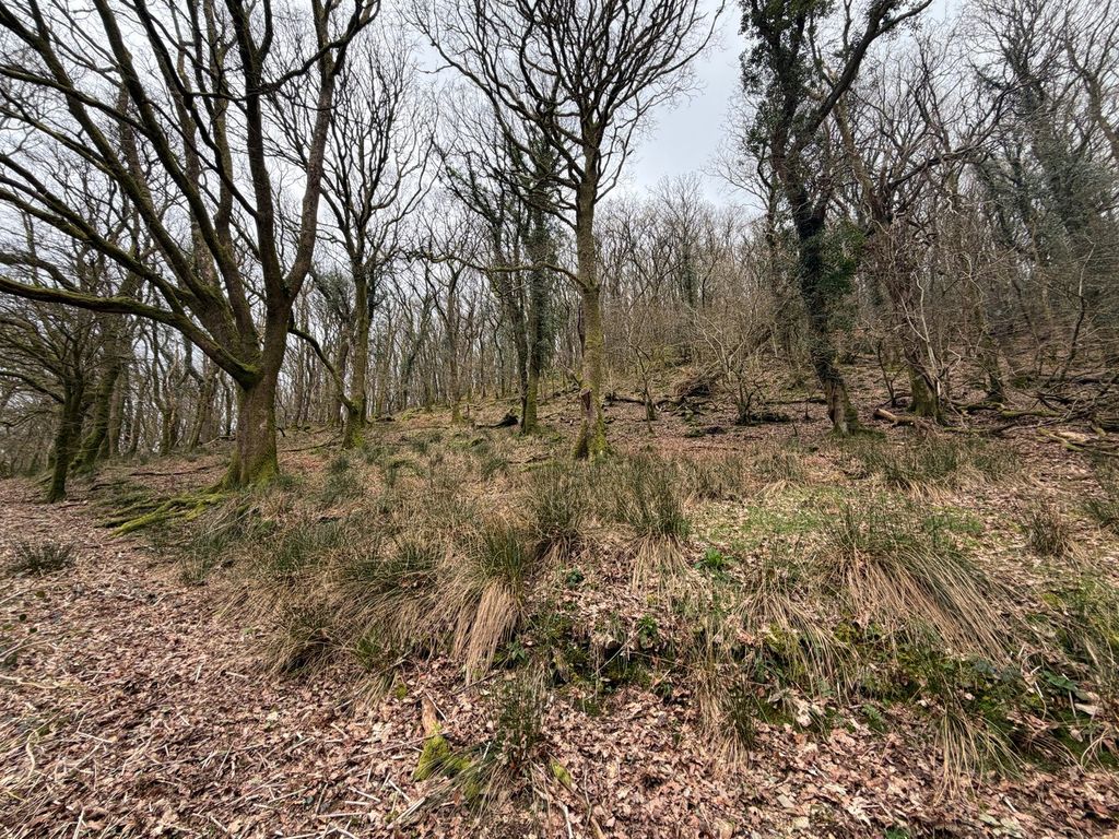 Additional image 4 of Farm to rentLlanfynydd, Carmarthen SA32