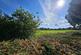 Additional image 6 of Church Farm Close, Dibden, Southampton, Hampshire, SO45