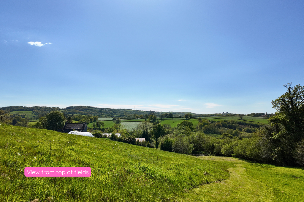 Additional image 81 of Land for saleHaulwen Lodge, Ffairfach, Llandeilo SA19