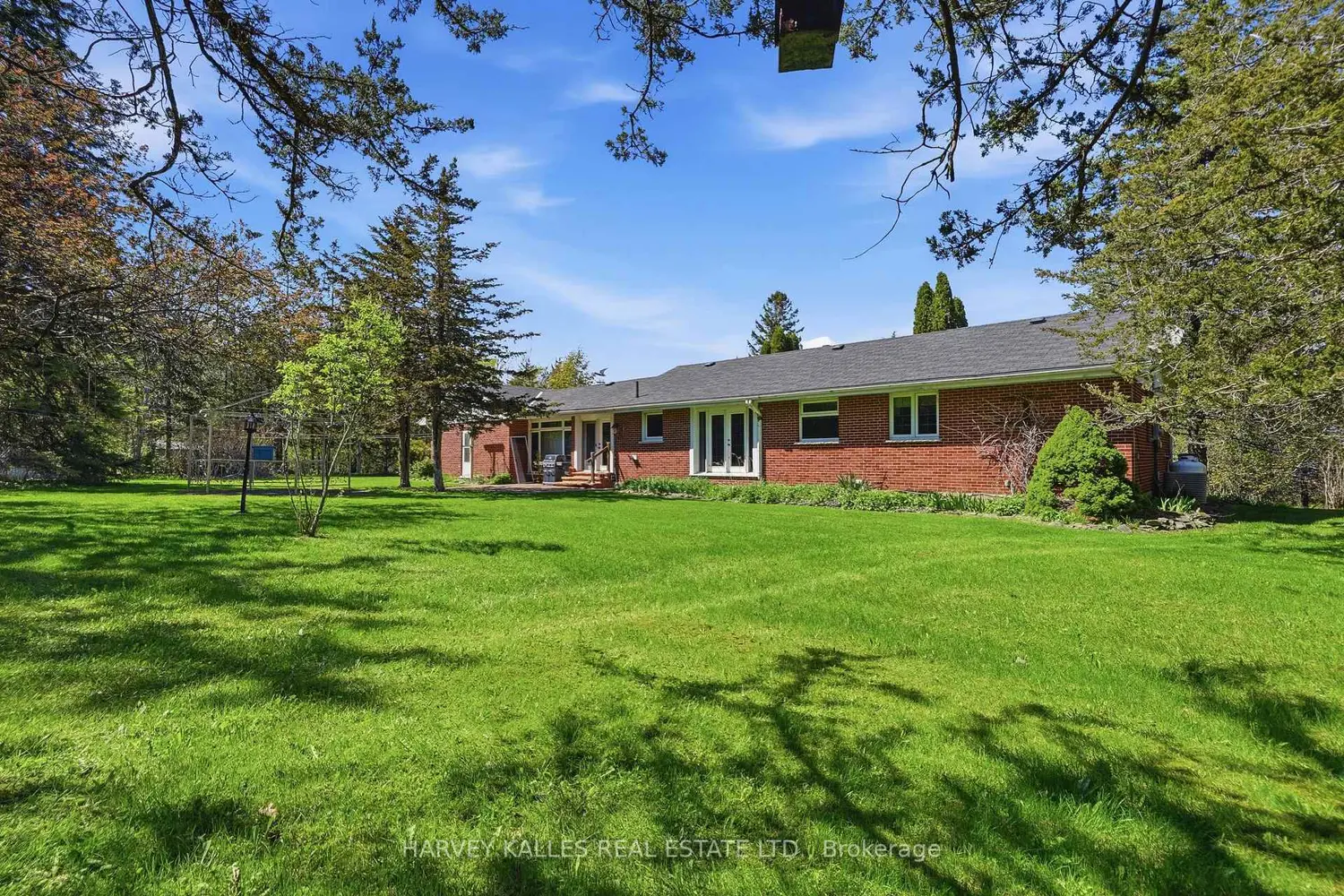 11653 Loyalist Parkway