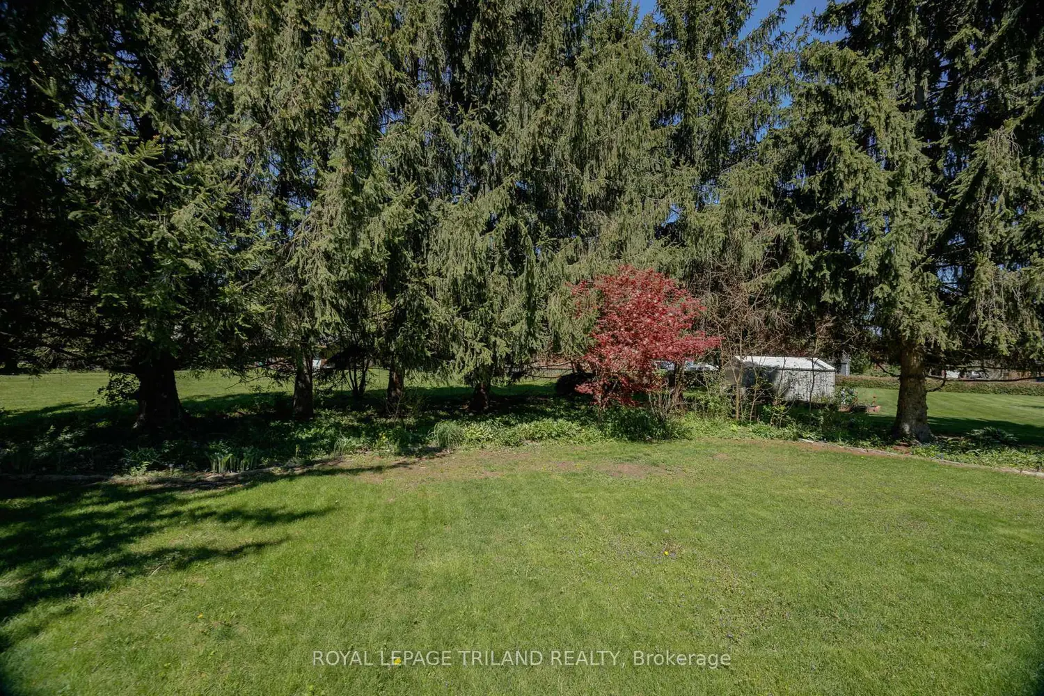 Additional image 17 of 39833 Shady Lane Crescent