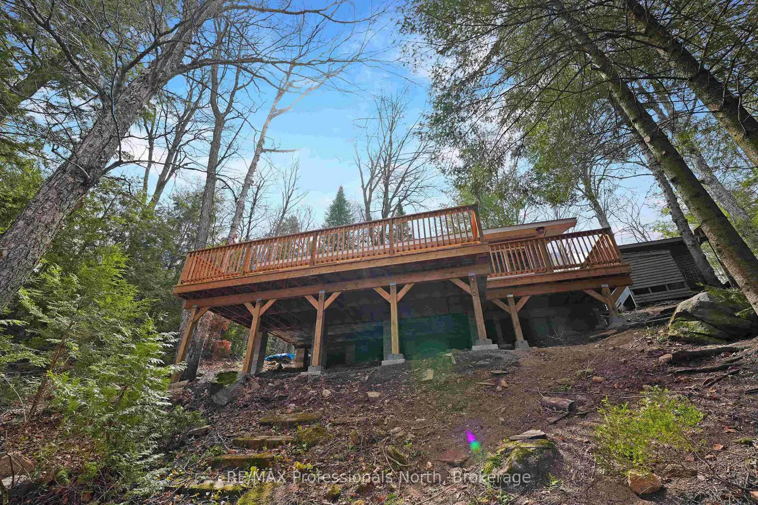 Additional image 3 of 1396 Betula Crescent