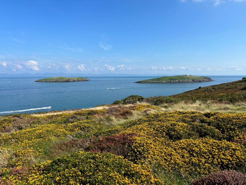 Additional image 33 of 6 bed detached house for saleAbersoch, Pwllheli LL53